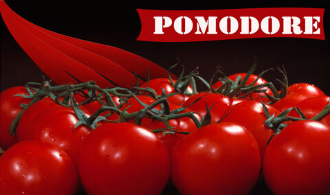 Projekt reklamy z pomidorami na gałązce — realizacja z fotografią